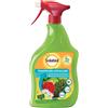 Bayer Garden Solabiol Insetticida Abbattente PFnPO 1 LT.