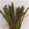 civetta Semi Di Asparagi Selvatici 1,000 semi 60,00€spedizione gratuita