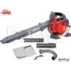 EFCO Soffiatore Manuale Scoppio EFCO SA 2500 - 25,4 cc - 3,7 Kg + KIT Aspirazione