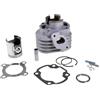 AIRSAL Kit cilindro AIRSAL 50 ccm Sport MALAGUTI F12 Phantom 50 AC (aria)