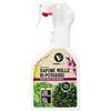 Verdevivo Sapone Molle Potassico per Piante - 750Ml. Sapone Molle Di Potassio Na