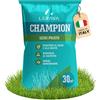 Does not apply CHAMPION Semi Prato (30M²) - Festuca Arundinacea Di Qualità - Resistente a Sicci