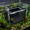 Box Isolamento Acquario Apertura Superiore Box Allevamento Avannotti