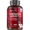 Does not apply Chetoni Esogeni plus Da 4280Mg in 180 Capsule Vegane, Estratto 20:1 Di Chetoni D