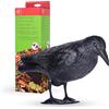 Does not apply Corvo Dissuasore per Uccelli - Sistema Di Allontanamento Piccioni in Plastica -