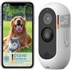 Does not apply ® Cam Free - Telecamera per Animali Domestici Wireless Telecamera per Cani Con A