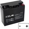 Non applicabile Batterie per trattorini 12V 22Ah con polo positivo a DX