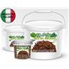 COLORSHOPWEB Mix ARACEE substrato Monstera, Philodendron, Alocasia, Anturio, Calla, Potos