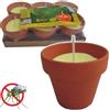 TrAdE Shop Traesio 6 PEZZI CITRONELLA IN COCCIO VASETTO DI TERRACOTTA DIAMETRO 7 CM ANTIZANZARE