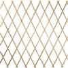 TrAdE Shop Traesio TRALICCIO LEGNO RETE ESTENSIBILE PIANTE RAMPICANTI STACCIONATA 100X300CM 206430