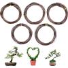 Filo in Alluminio per Bonsai Filo Albero per Bonsai Formazione 5 Rotoli Bonsai F
