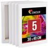 Zenacolor - Tela per Dipingere 30x40 cm - Set di 5 Tele per Pittura | Tela Bianc