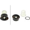 Kenwood trita spezie vetro tritatutto Multipro FDM300 fdm301 fdm302 303 304 307