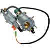 Carburatore Generatore 1 16HP 18HP 1PC 8KW 10KW Doppio Carburante Generatore Set