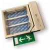 Beghelli Pratica bandiera 2311 Beghelli 9166SA2P 2x6W SA IP40 230V