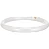 Does not apply Lampada Fluorescente, Gr10Q, 32 Watts, Bianco