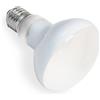 Does not apply Lampadina Riscaldante 75W E27 R80 UVA Basking Spot, AC 220V Termica Luce Diurna,