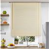 TrAdE Shop Traesio TENDA VENEZIANA BEIGE IN PVC 80X160CM PER PORTAFINESTRA FINESTRA PARASOLE TPL38