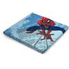 Caleffi Copriletto liscio Caleffi Spiderman Manhattan una piazza e mezza 220x270 cm