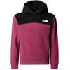 The North Face Back Logo Relaxed P/O Felpa con Cappuccio Bambine e Ragazze (Pacco da 1)