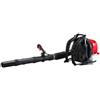 Shindaiwa EB770 - Soffiatore a Zaino Professionale 63cc per Giardinaggio, veloci