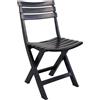 Ipae-Progarden Birki Sedie Pieghevoli, Antracite, Plastica, 44 X 41 X 78 Cm