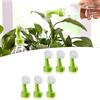 Confezione 6 Irrigatori Top Bottiglie Per Bottiglie Vuote Bonsai Uso Irrigazione
