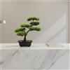 Bonsai di Pino Finto Foglie a Ago Bonsai Finto in Vaso Rami Testurizzati