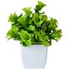Pianta Bonsai Artificiale Fiore Lilla Plastica 17cm per Decorazione Scrivania In
