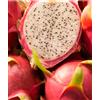 eGarden.store Pianta di Pitaya Pianta Hilocerus Monocanthus vera Frutto del Drago da esterno