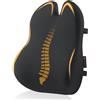 ProtoArc Cuscino di supporto lombare per sedia da ufficio cuscino di supporto