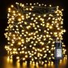 BrizLabs Luci Albero di Natale Esterno BrizLabs 100M 1000 LED Catena Luminosa Bianco