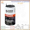Cyclon Batteria accumulatore al piombo ricaricabile 2V 5Ah 5000mAh lampada di emergenza