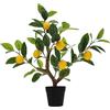 Gresorth 50,8 cm artificiale giallo limone albero finto casa verde pianta