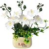 Pianta in vaso di orchidea artificiale con e foglie realistiche 27x25 cm