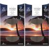 Yankee Candle ricariche fragranza ScentPlug | Olio per profumatore d'ambiente elettrico Black Coconut | Durata della fragranza: fino a 60 giorni | 2 pezzi (Confezione da 2)