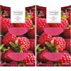 Yankee Candle ricariche fragranza ScentPlug | Olio per profumatore d'ambiente elettrico Red Raspberry | Durata della fragranza: fino a 60 giorni | 2 pezzi (Confezione da 2)