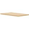 FLEXISPOT Piano di lavoro PR1006-Aprile-FSC, 100x60cm, acero - N