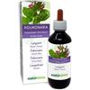 Naturalma Polmonaria (Pulmonaria officinalis) erba con fiori Tintura Madre analcoolica