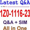 Miglior Materiale Di Esercizio Per L'Esame 1Z0-1116-23 Q&A