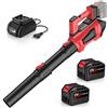 IERAKOR Soffiatore a Batteria 21V con 2x 4.5Ah Batterie Soffiatore Foglie Potente 360