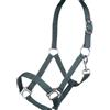 HKM Stars Economy Capezza Beige Pony