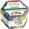 L Angelica Cofanetto Tisane Calde Tisane Funzionali Active Idea Regalo Ventre Piatto Dopo