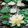 Set 9 Pezzi Galleggianti per Loto e Giglio Pad per Giardino Laghetto e Patio