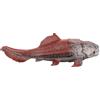No 20 Cm Dinosauri Modello Giocattolo Dunkleosteus Dinosauro Pesce Decorazione5146