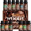 SALKING Oli Essenziali Woody per Diffusori 12x10ml Frankincense Teak Sandalo