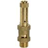 RIEGLER 105022-229.05-4,5 valvola di sicurezza, ottone, G 1 1/2, pressione di risposta 4,5 bar, 1 pezzo