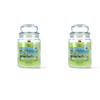Magic Lights Candela Profumata Mojito 510g - Lime e Menta Fresca - 90/100 Ore - Stoppino in Legno Scoppiettante - Cera Vegetale 75% - Giara Grande Made in Italy (Confezione da 2)