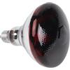 Pollo Cova Lampada Termica Rossa Base E27 Luce Infrarossa per Rettili 110V