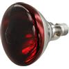 Pollo Cova Lampada Termica Rossa Base E27 Luce Infrarossa per Rettili 110V